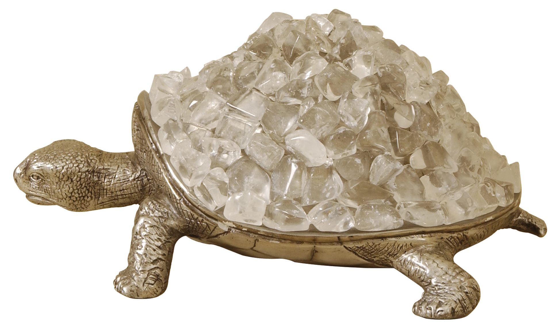 turtle turtle